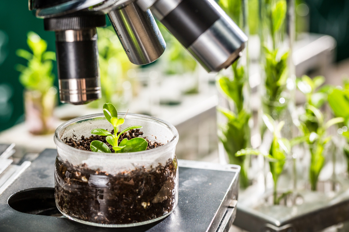 research on plant biotechnology