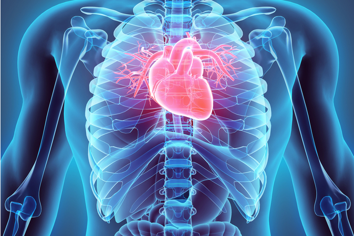 Heart transplantation remains the gold standard surgical treatment for ...